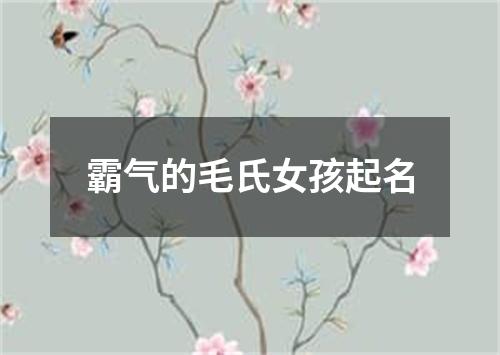 霸气的毛氏女孩起名