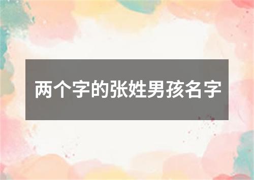 两个字的张姓男孩名字