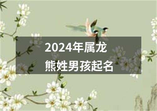 2024年属龙熊姓男孩起名