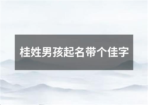 桂姓男孩起名带个佳字