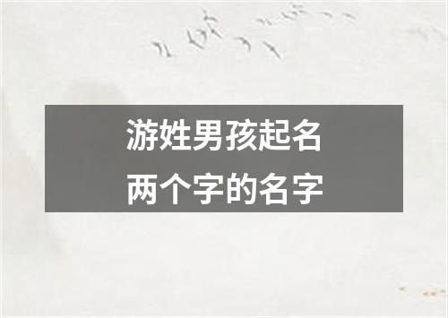 游姓男孩起名两个字的名字