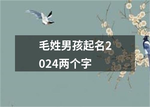 毛姓男孩起名2024两个字