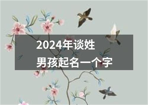 2024年谈姓男孩起名一个字