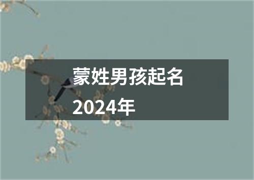 蒙姓男孩起名2024年