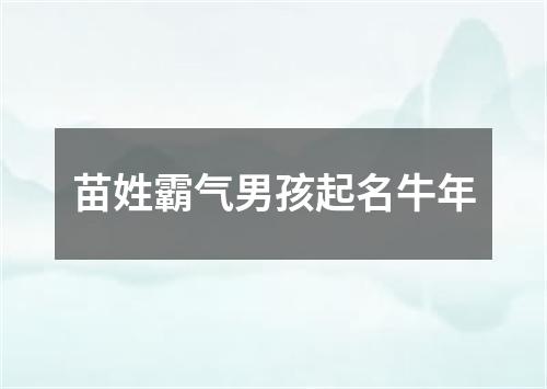 苗姓霸气男孩起名牛年