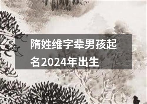 隋姓维字辈男孩起名2024年出生