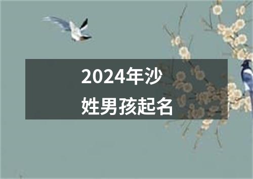 2024年沙姓男孩起名