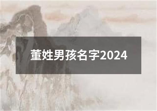 董姓男孩名字2024