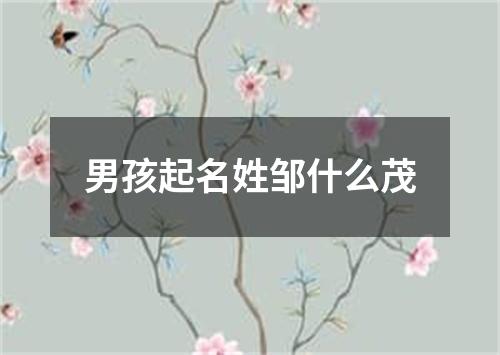 男孩起名姓邹什么茂