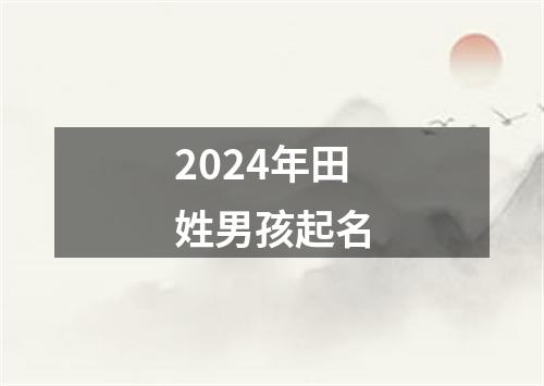 2024年田姓男孩起名