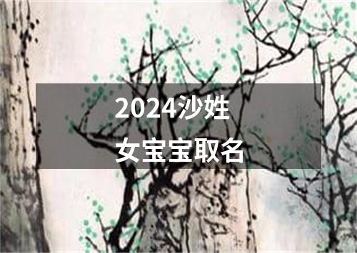 2024沙姓女宝宝取名