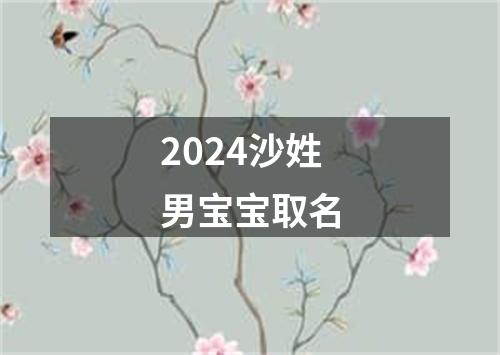 2024沙姓男宝宝取名