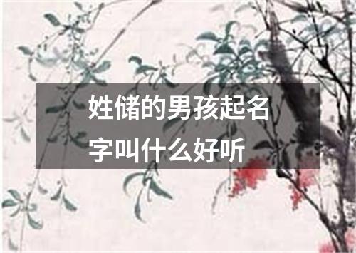 姓储的男孩起名字叫什么好听