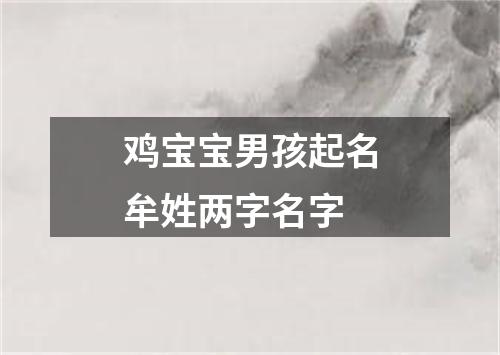 鸡宝宝男孩起名牟姓两字名字