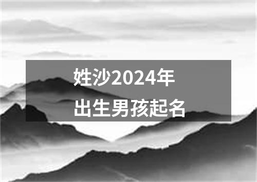 姓沙2024年出生男孩起名