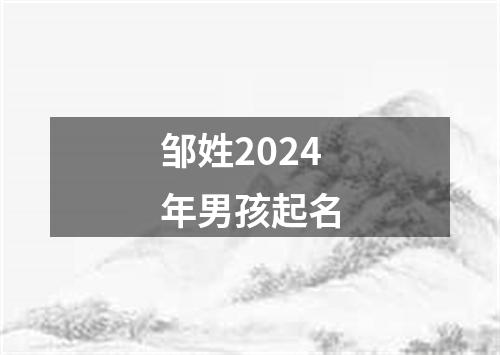 邹姓2024年男孩起名