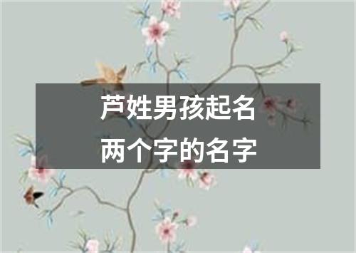 芦姓男孩起名两个字的名字