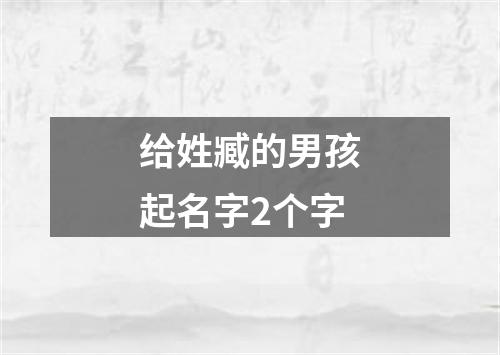 给姓臧的男孩起名字2个字