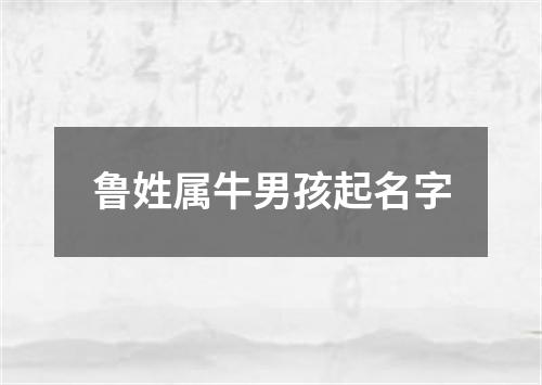 鲁姓属牛男孩起名字