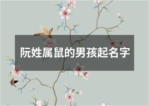 阮姓属鼠的男孩起名字