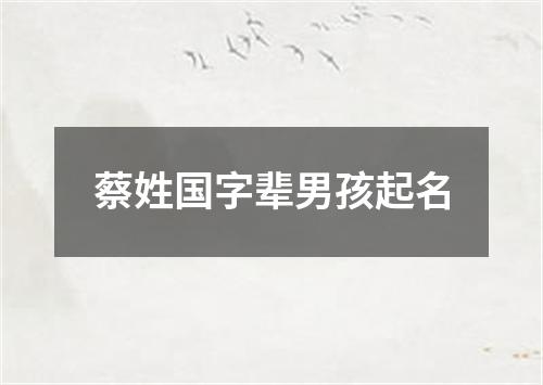 蔡姓国字辈男孩起名