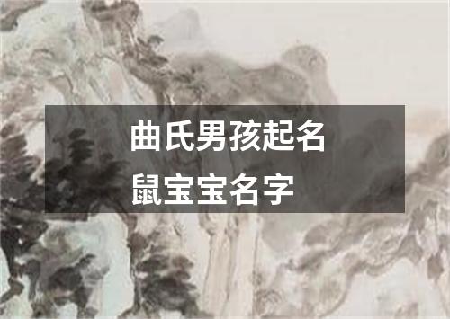 曲氏男孩起名鼠宝宝名字