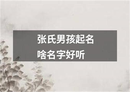 张氏男孩起名啥名字好听