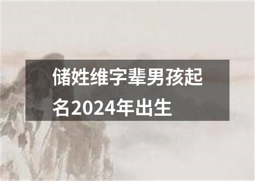 储姓维字辈男孩起名2024年出生