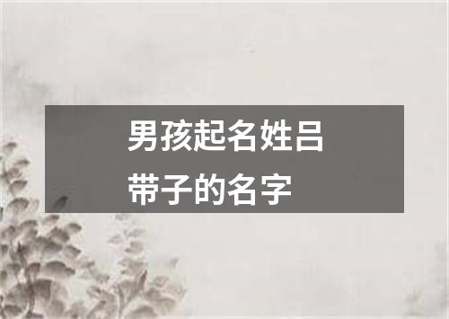 男孩起名姓吕带子的名字