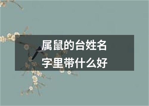 属鼠的台姓名字里带什么好