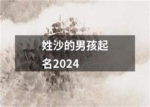 姓沙的男孩起名2024