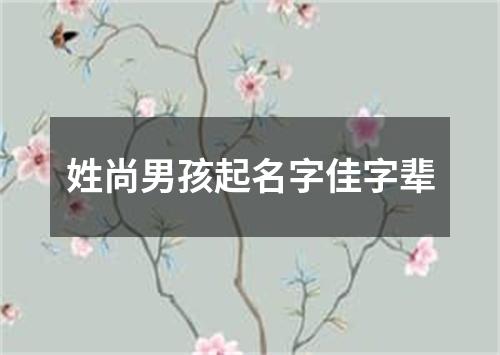 姓尚男孩起名字佳字辈