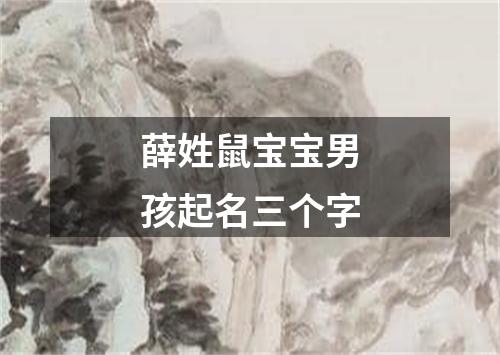 薛姓鼠宝宝男孩起名三个字