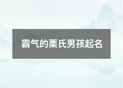 霸气的栗氏男孩起名