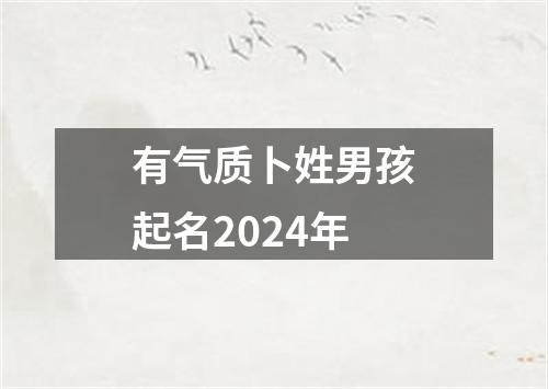 有气质卜姓男孩起名2024年