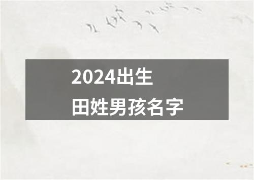 2024出生田姓男孩名字