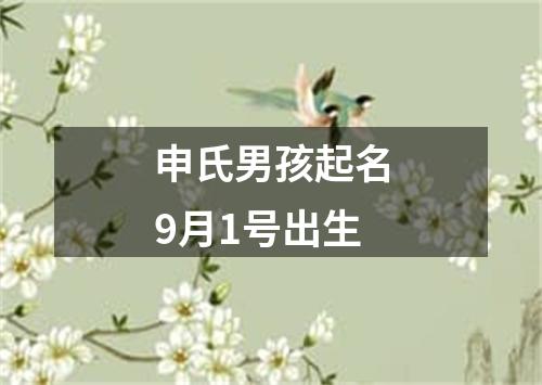 申氏男孩起名9月1号出生