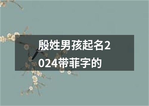 殷姓男孩起名2024带菲字的