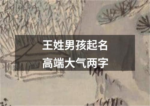 王姓男孩起名高端大气两字