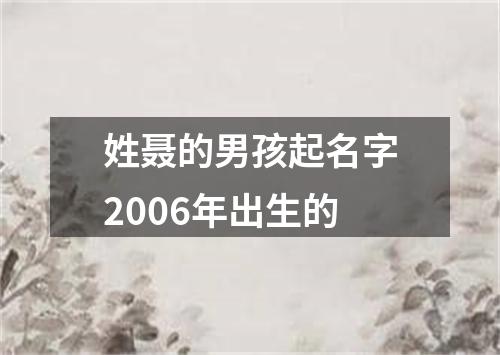 姓聂的男孩起名字2006年出生的