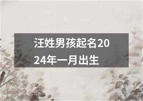 汪姓男孩起名2024年一月出生