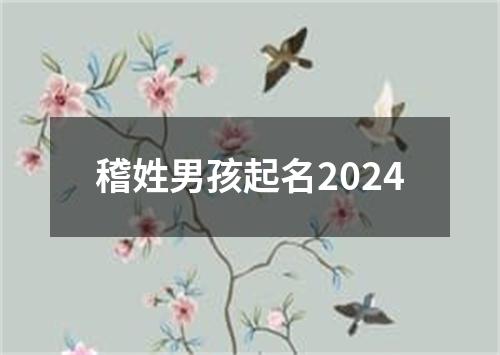 稽姓男孩起名2024