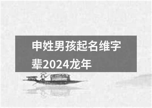 申姓男孩起名维字辈2024龙年