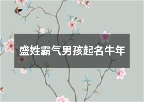 盛姓霸气男孩起名牛年