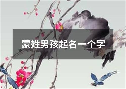 蒙姓男孩起名一个字