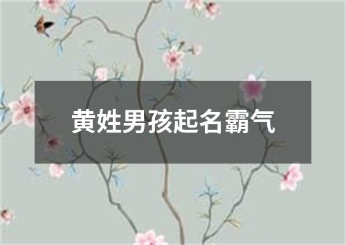 黄姓男孩起名霸气