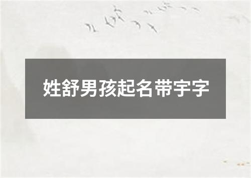 姓舒男孩起名带宇字