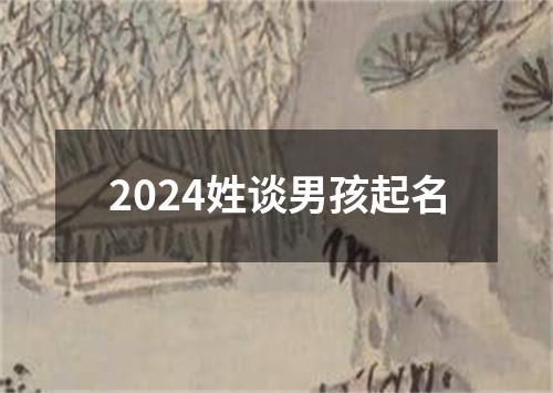 2024姓谈男孩起名