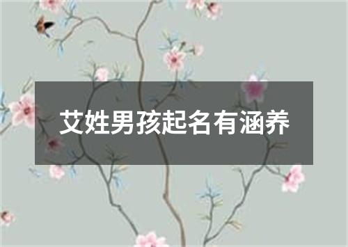 艾姓男孩起名有涵养