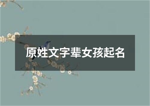 原姓文字辈女孩起名